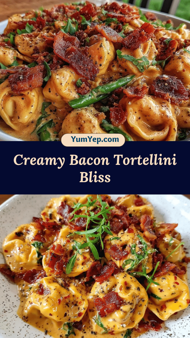 creamy bacon cheese tortellini recipe