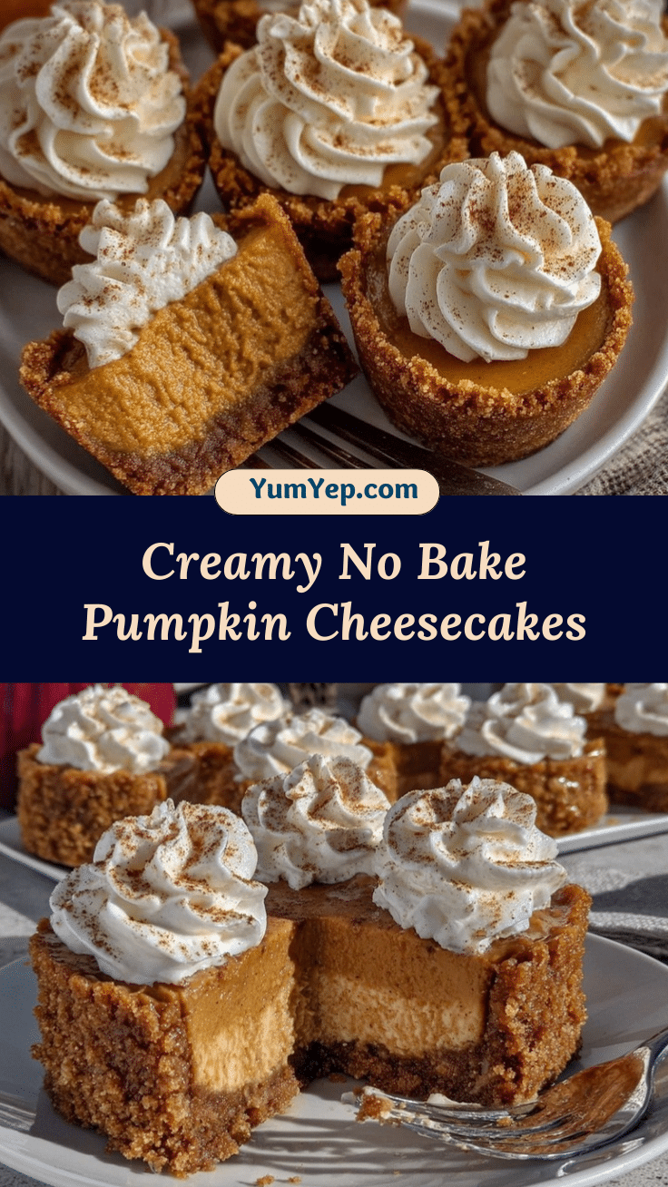 creamy no bake pumpkin cheesecakes recipe