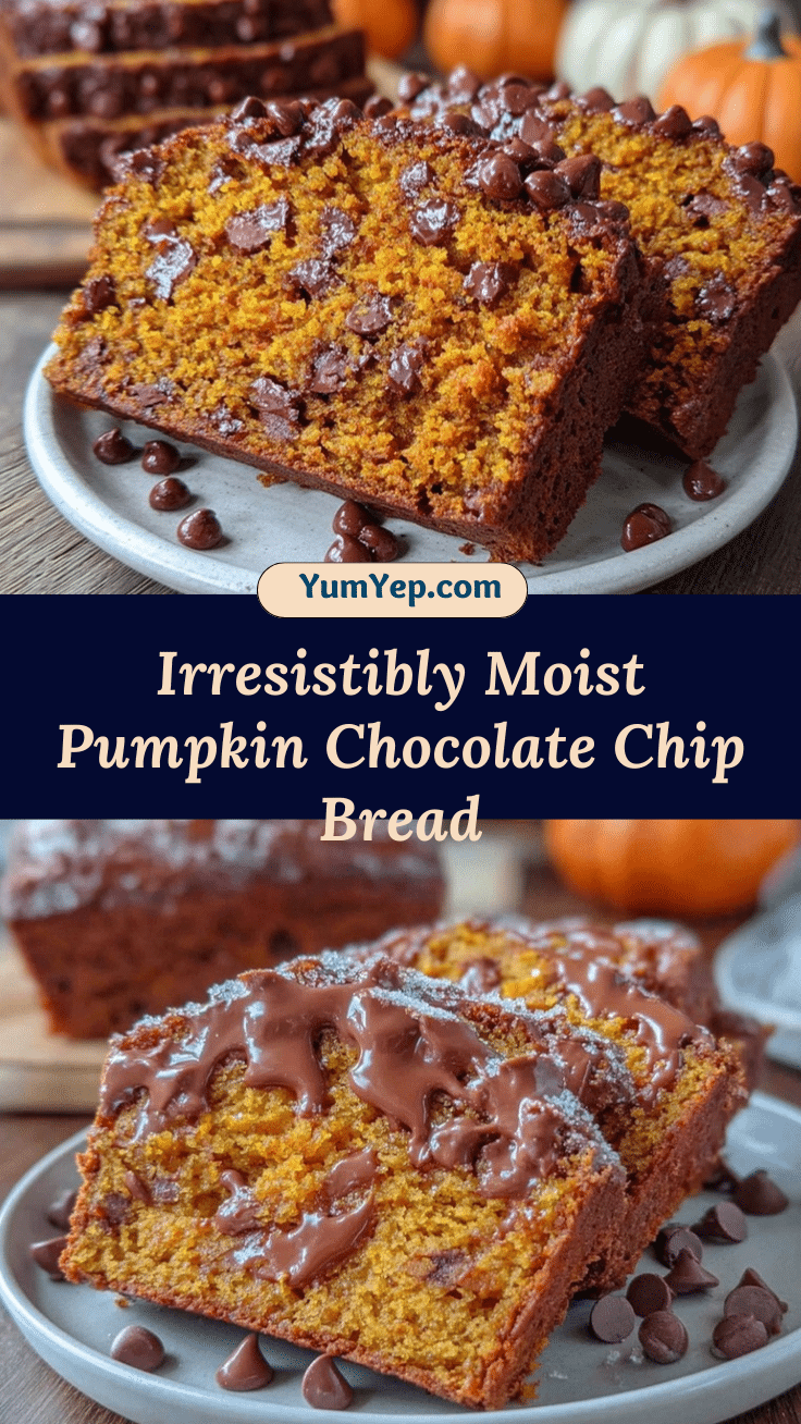 pumpkin chocolate chip bread recipe