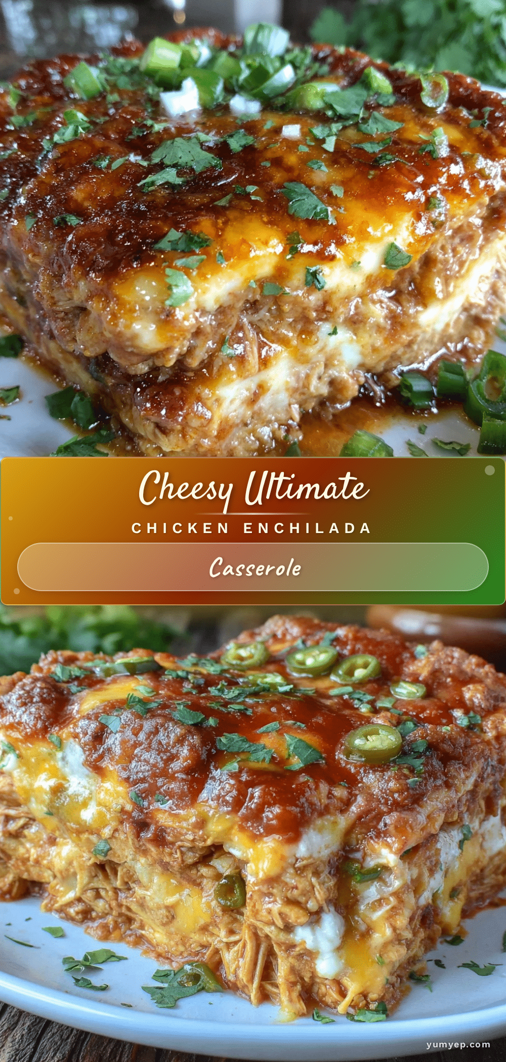 chicken enchilada casserole recipe