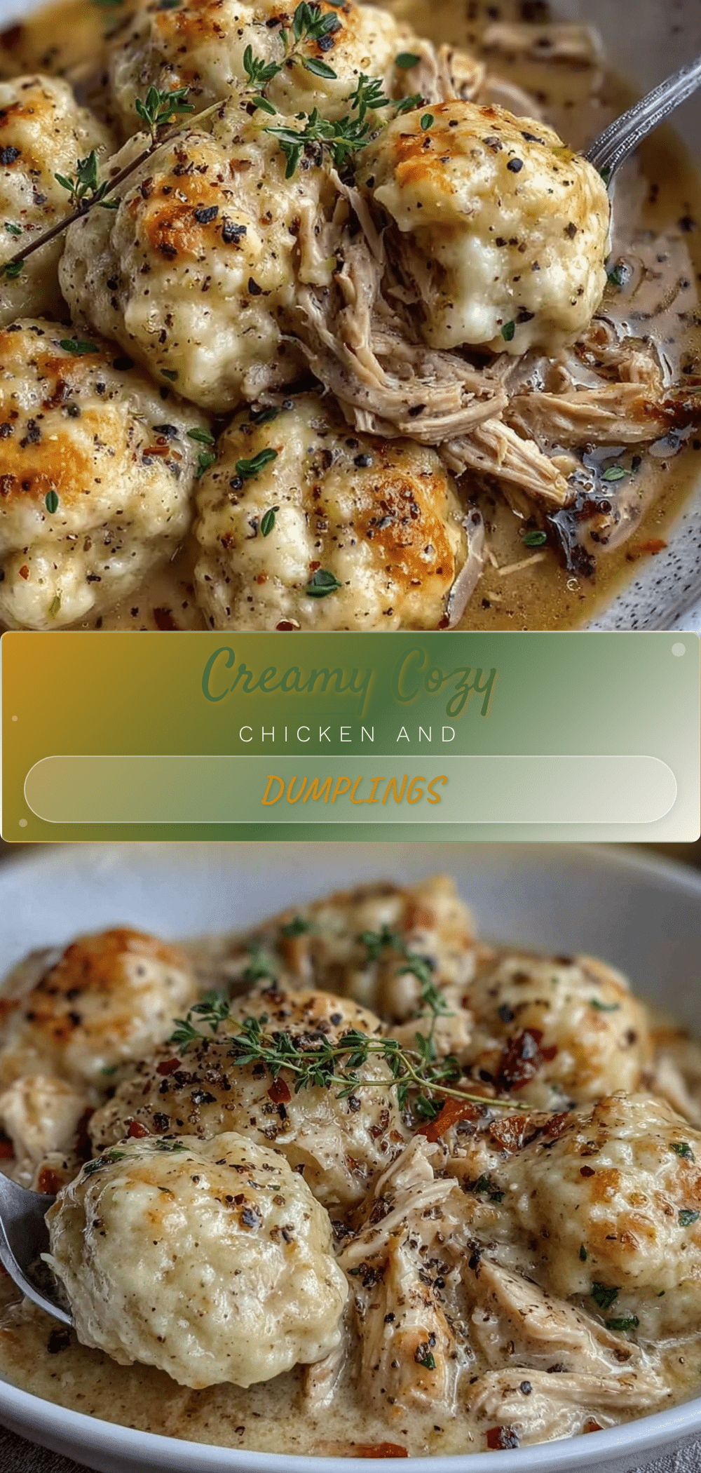 cozy chicken and dumplings recipe recipe