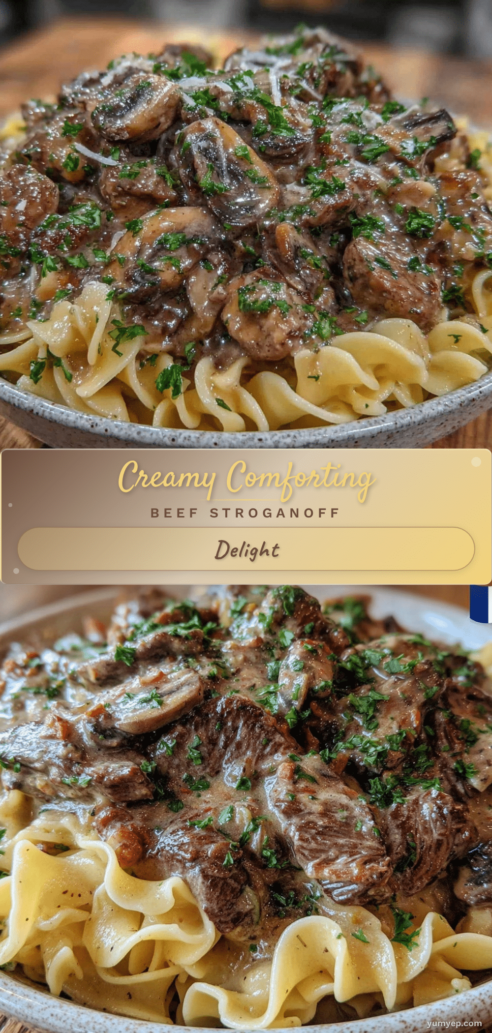 creamy beef stroganoff recipe recipe