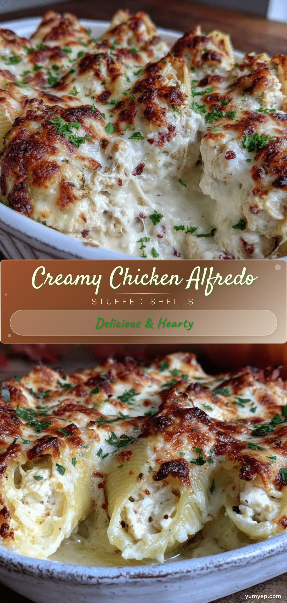 creamy chicken Alfredo stuffed shells recipe