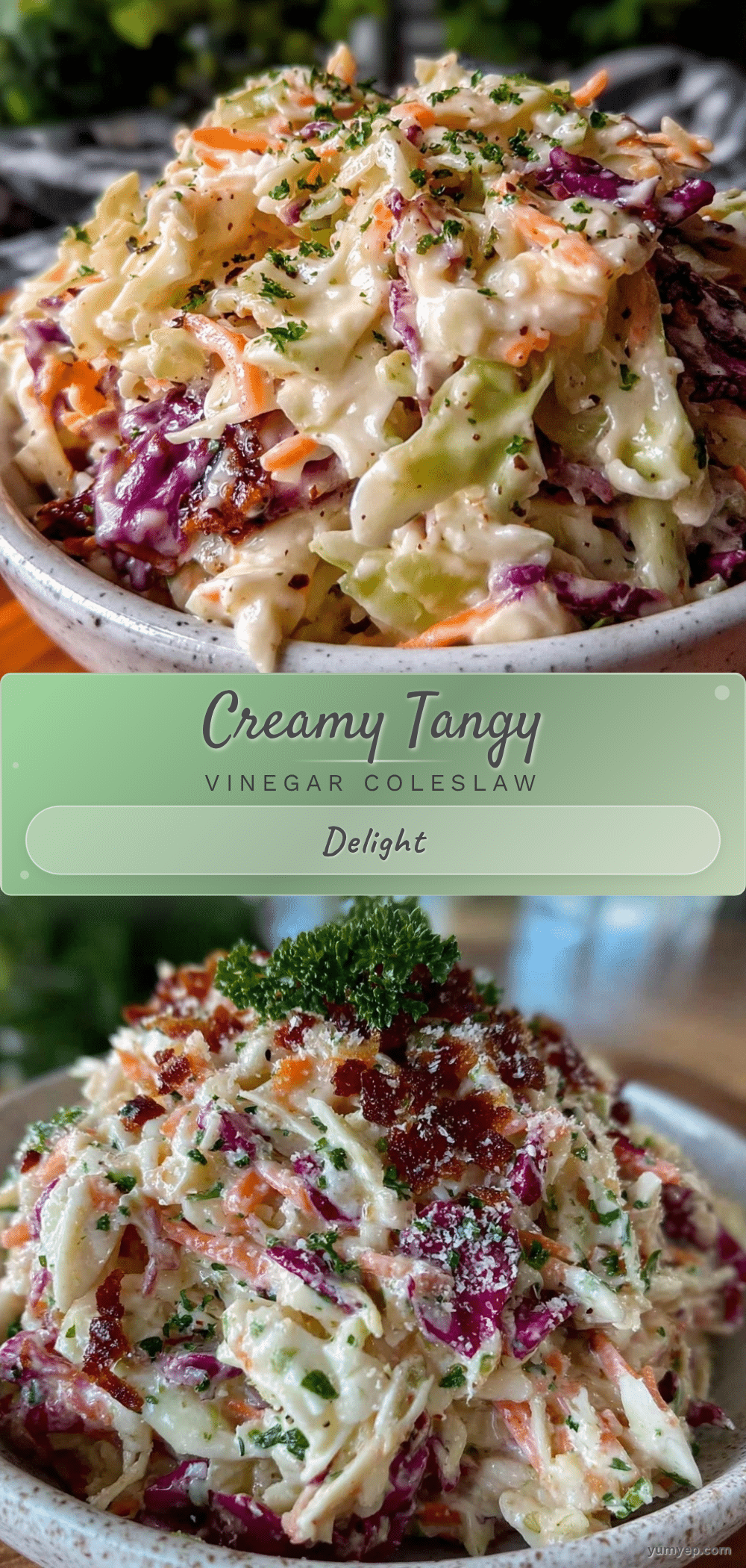creamy coleslaw with vinegar recipe