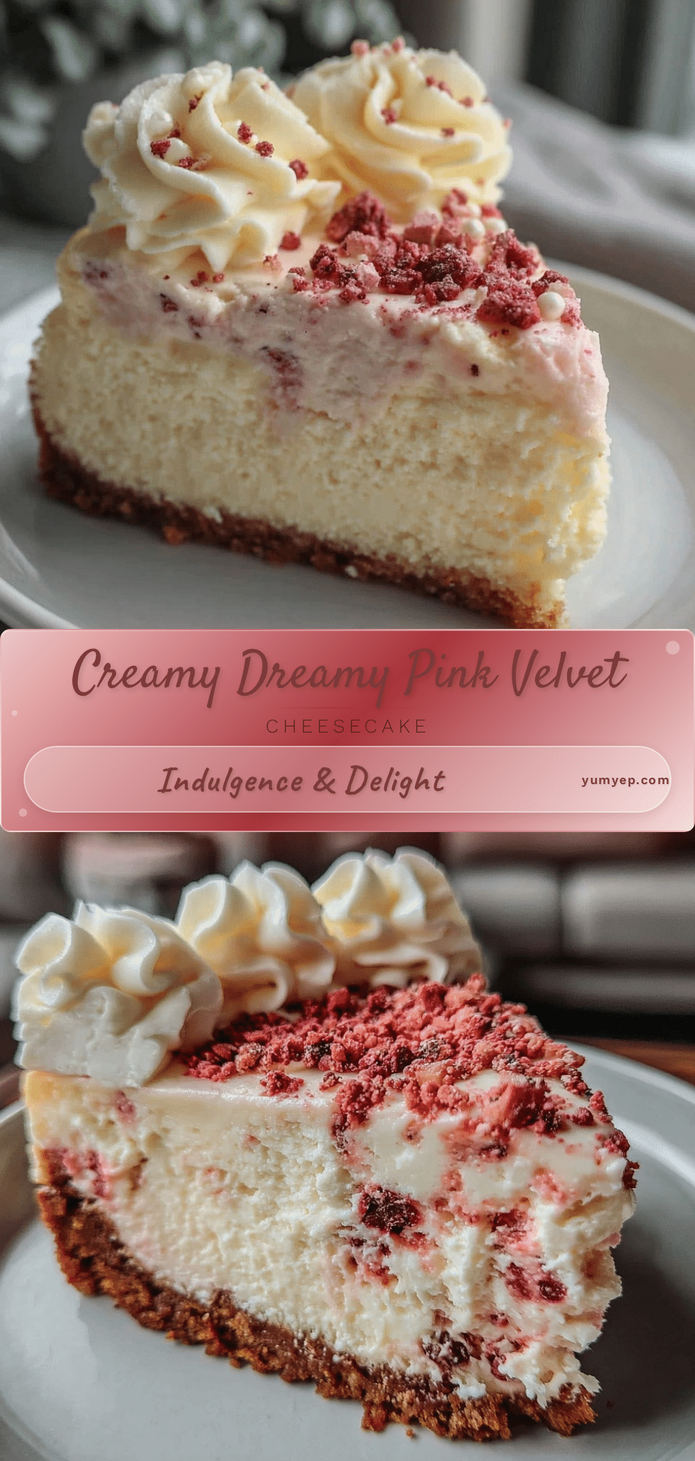 creamy pink velvet cheesecake recipe