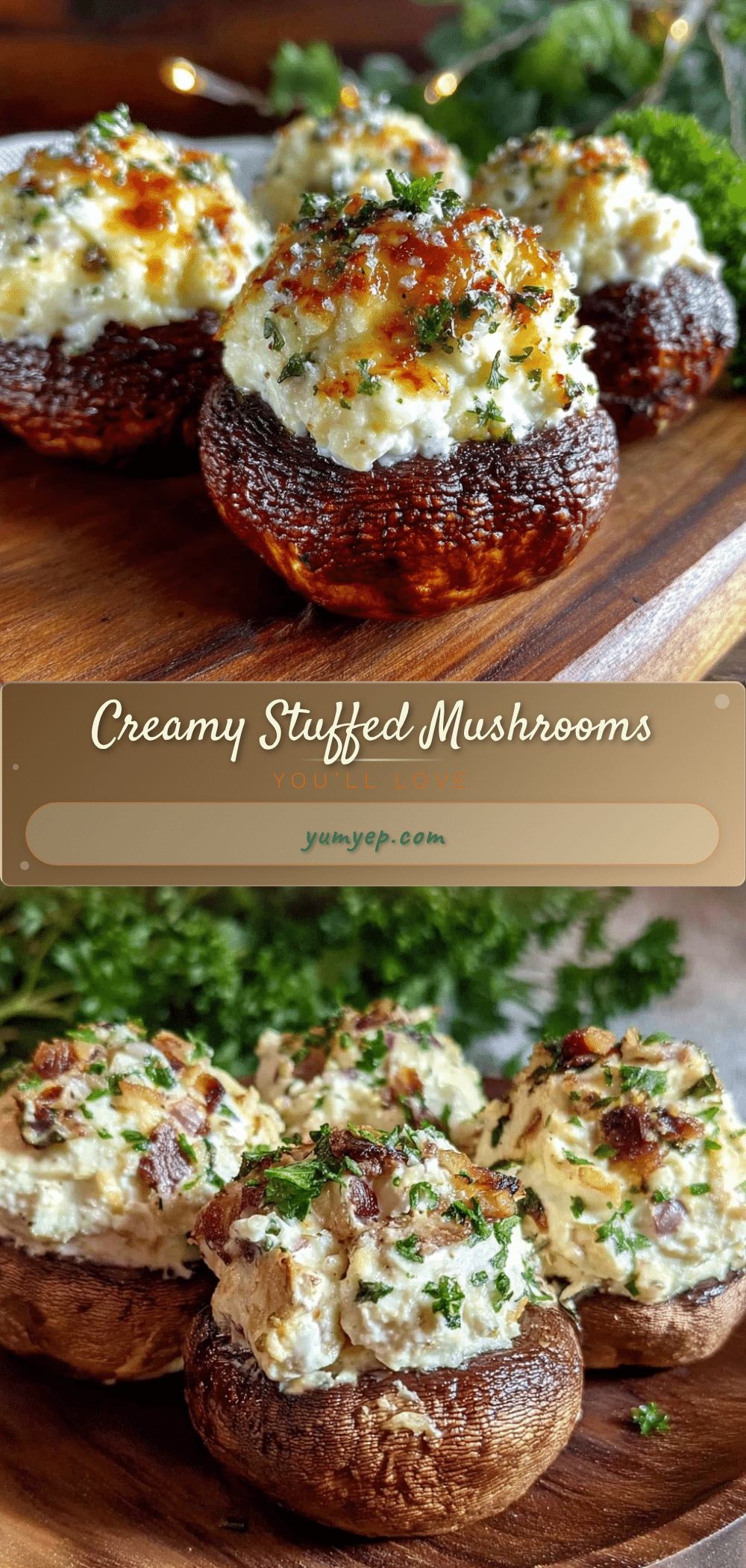 creamy stuffed mushrooms recipe