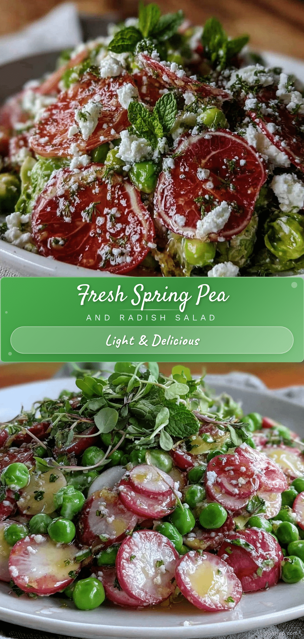 Fresh Spring Pea and Radish Salad recipe