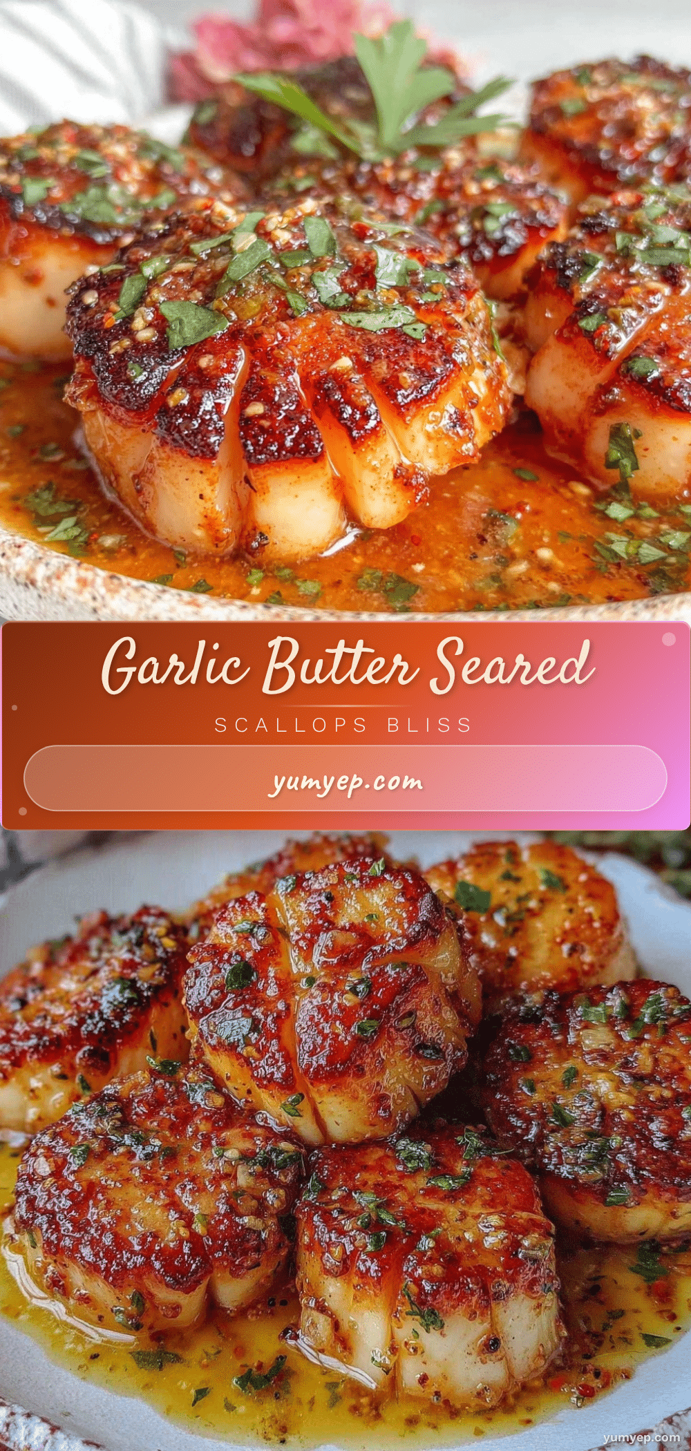 garlic butter scallops recipe