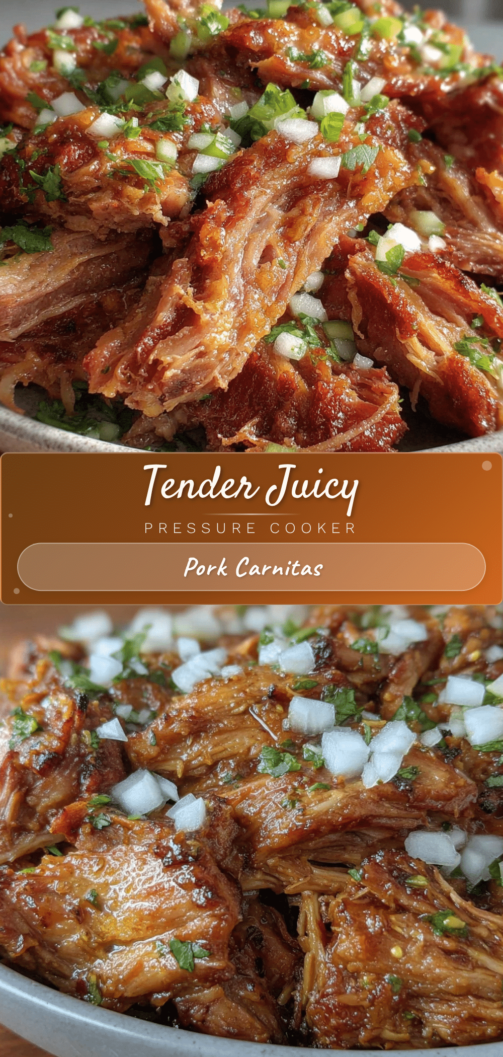 pressure cooker pork carnitas recipe
