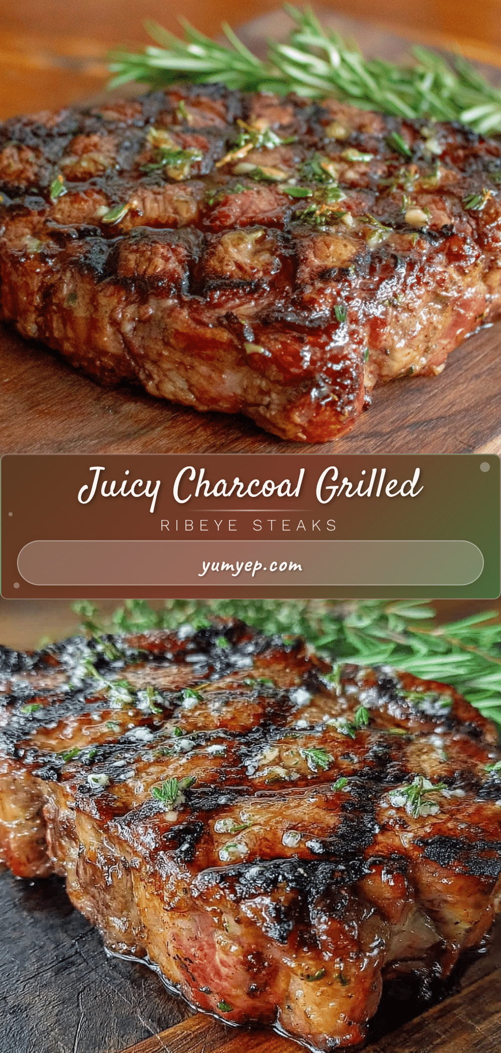 charcoal grilled ribeye steaks recipe