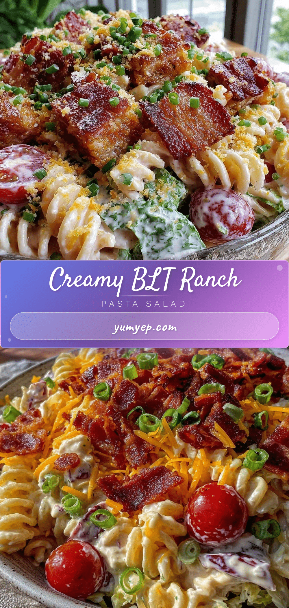 creamy blt ranch pasta salad recipe