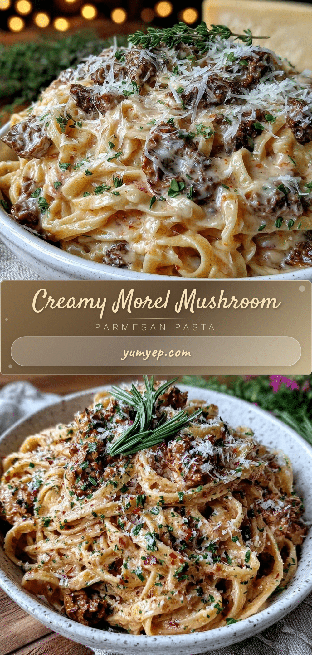 creamy morel mushroom pasta recipe