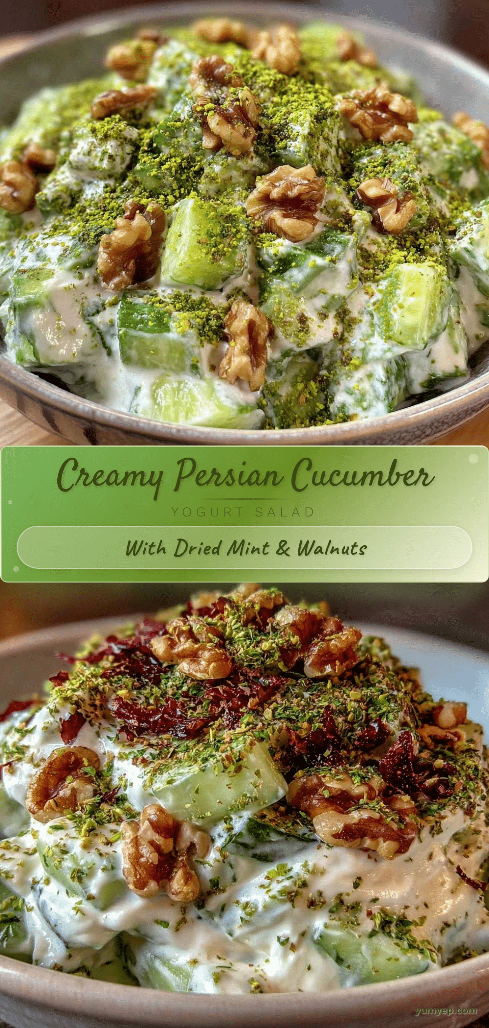 creamy persian cucumber yogurt salad recipe