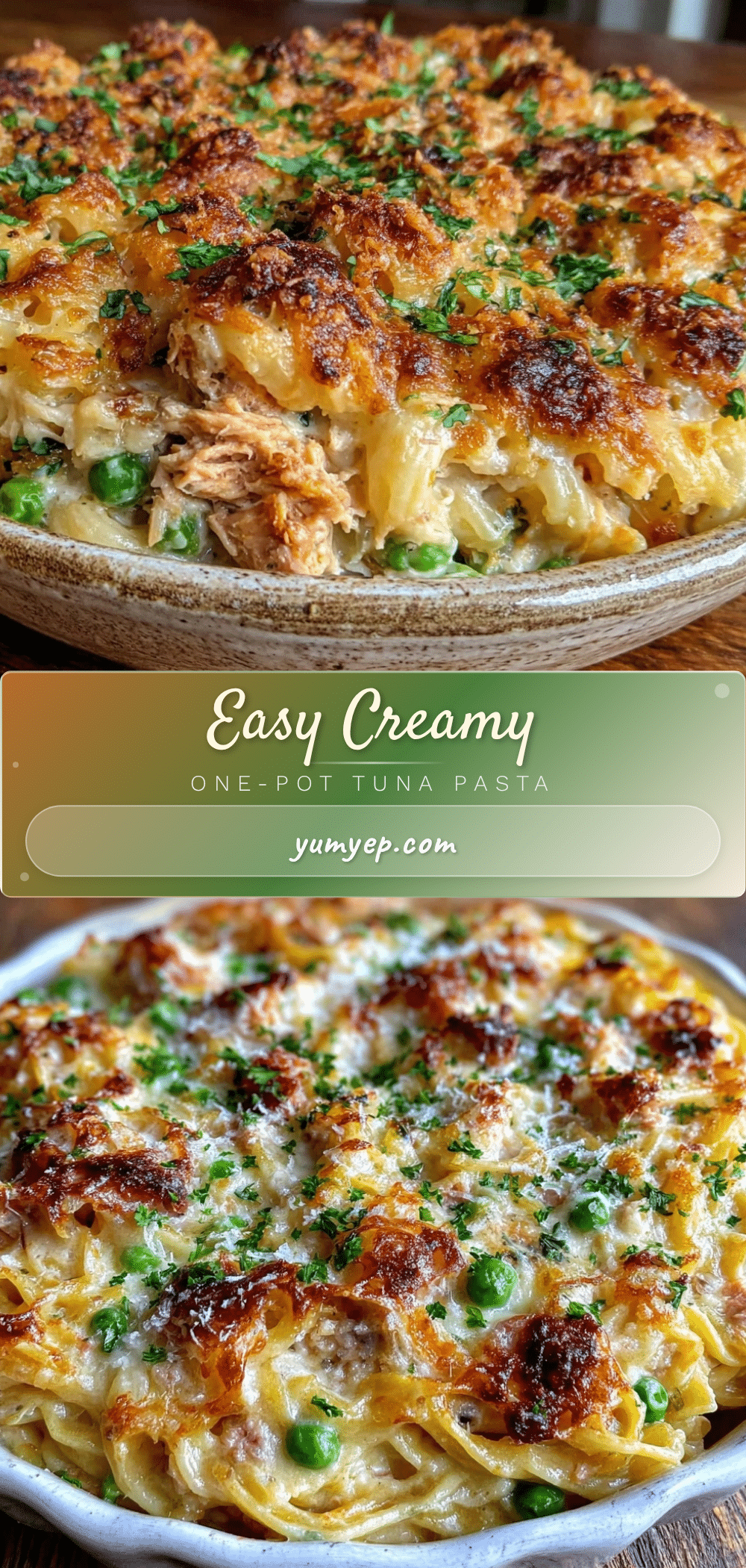 easy creamy one-pot tuna pasta casserole recipe