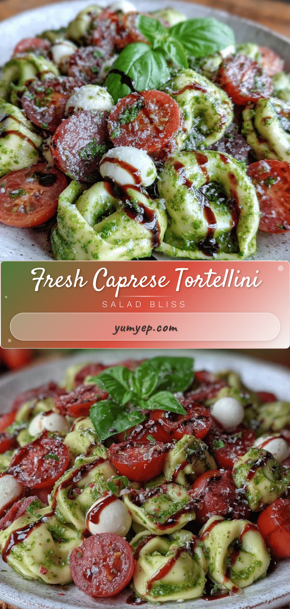 fresh cold caprese tortellini pasta salad recipe