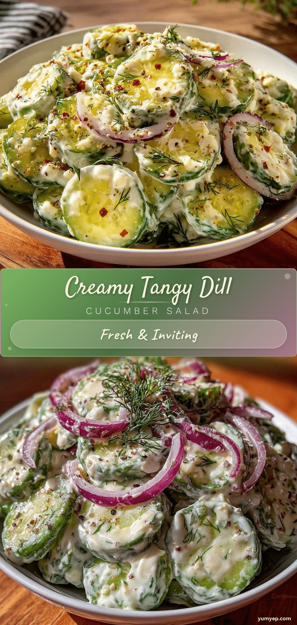 fresh creamy dill cucumber salad recipe