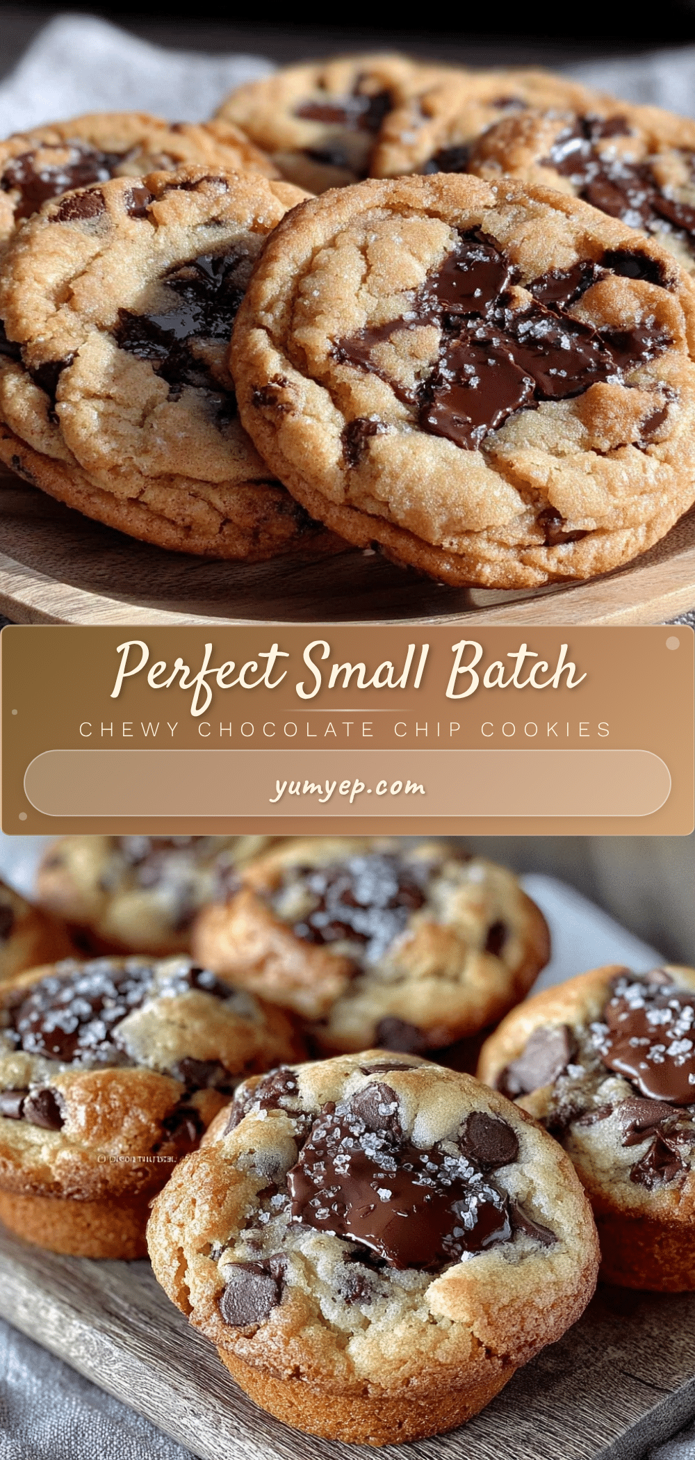 small batch chewy chocolate chip cookies recipe