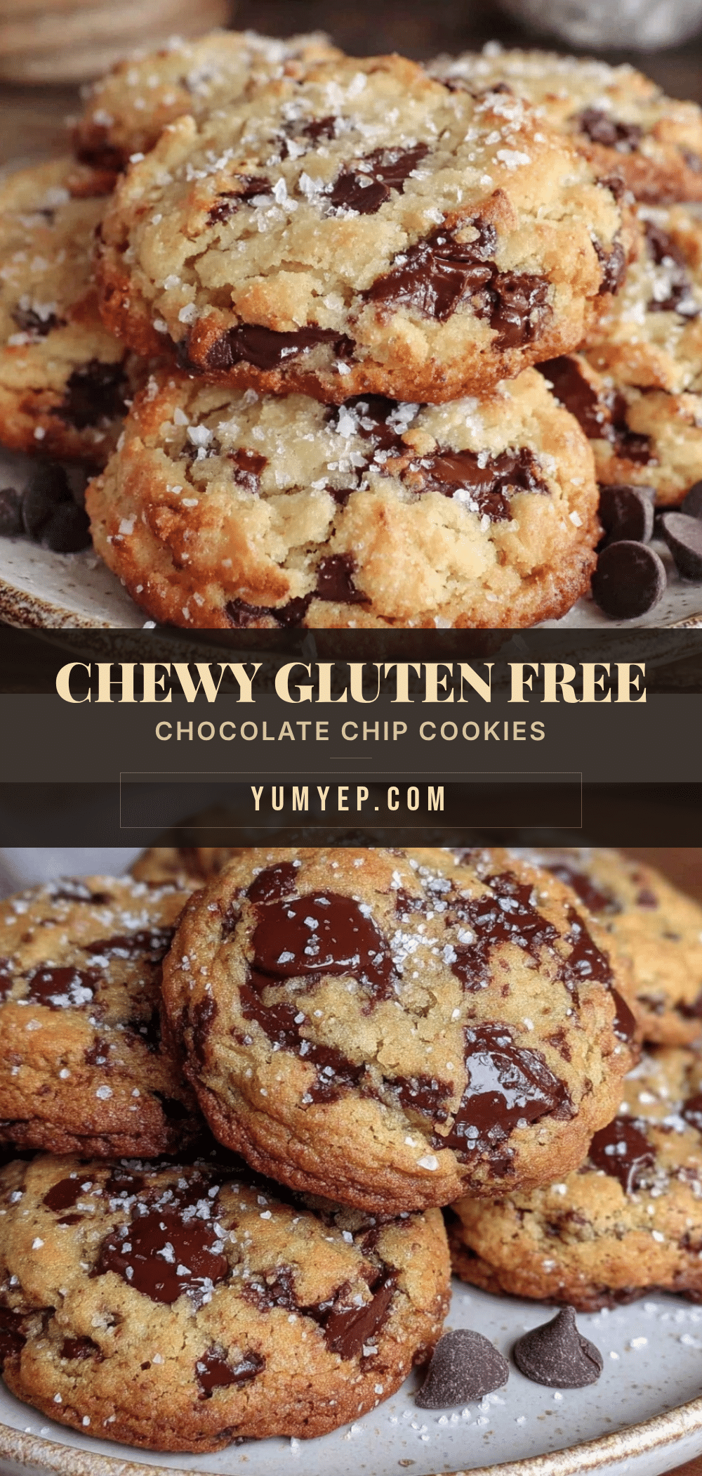 chewy gluten free chocolate chip cookies recipe