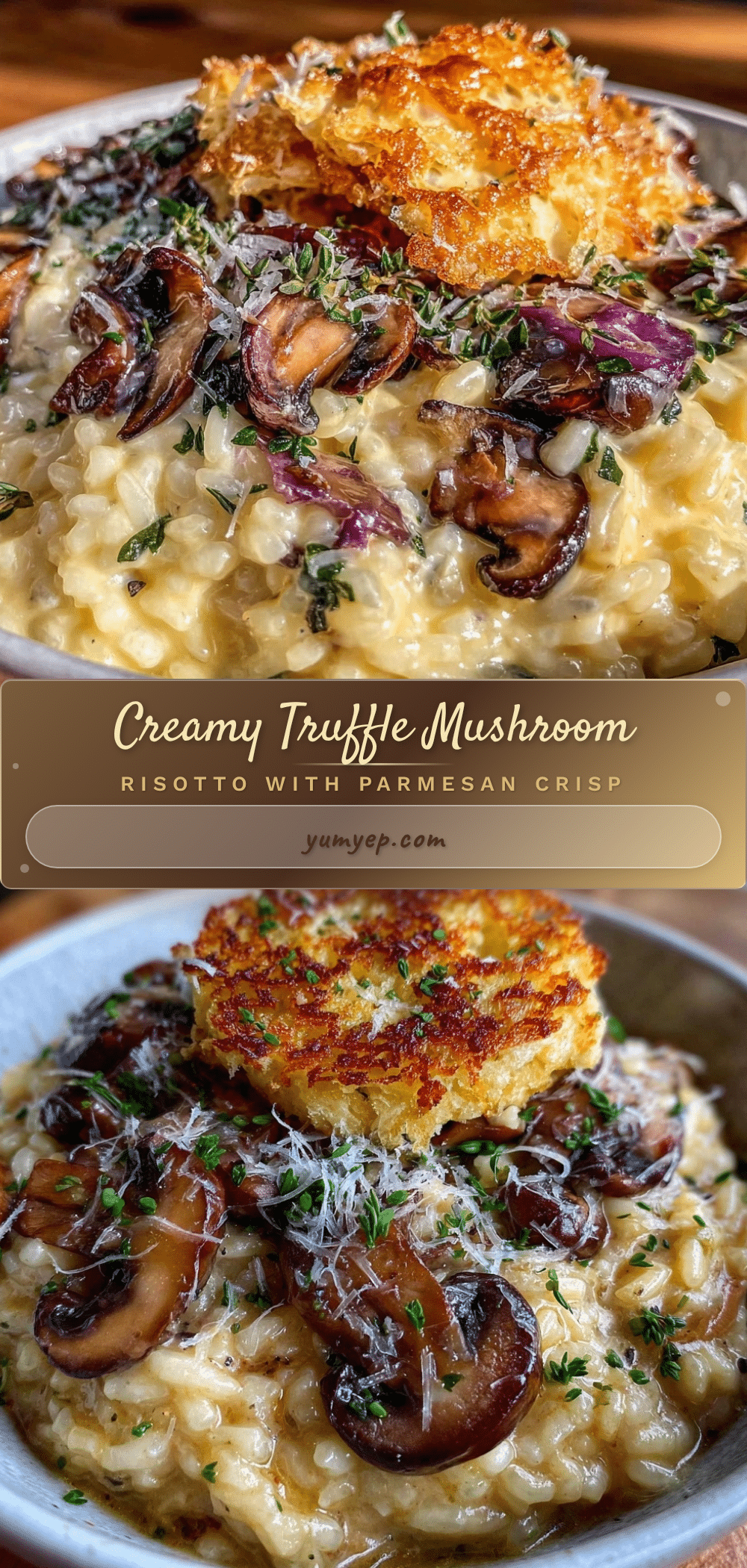 creamy mushroom truffle risotto recipe