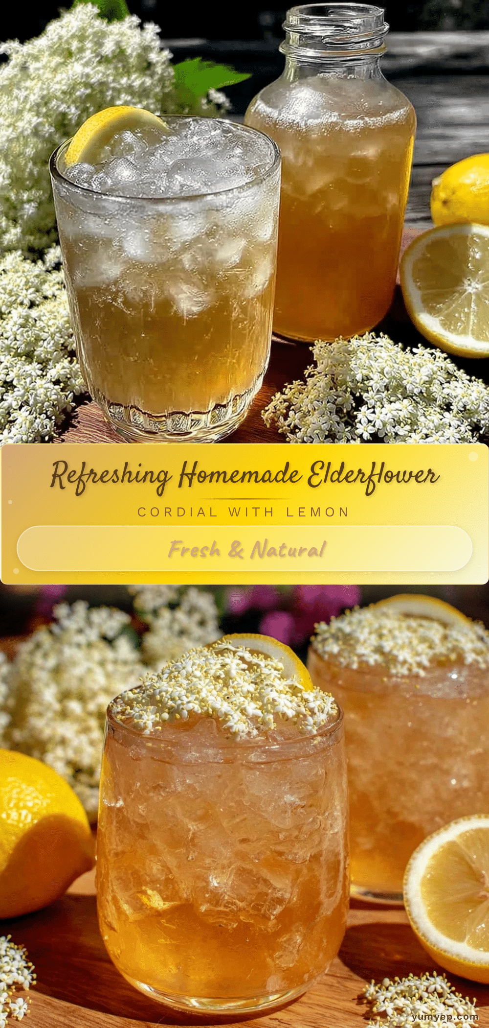 fresh homemade elderflower cordial recipe