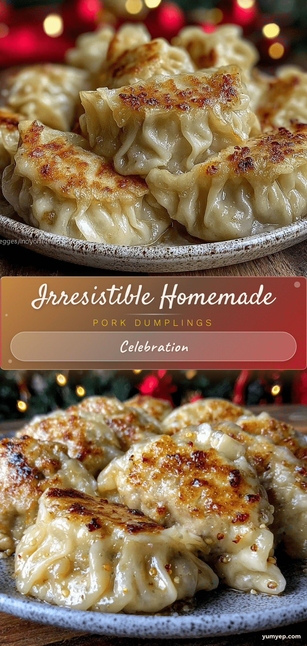 homemade pork dumplings recipe