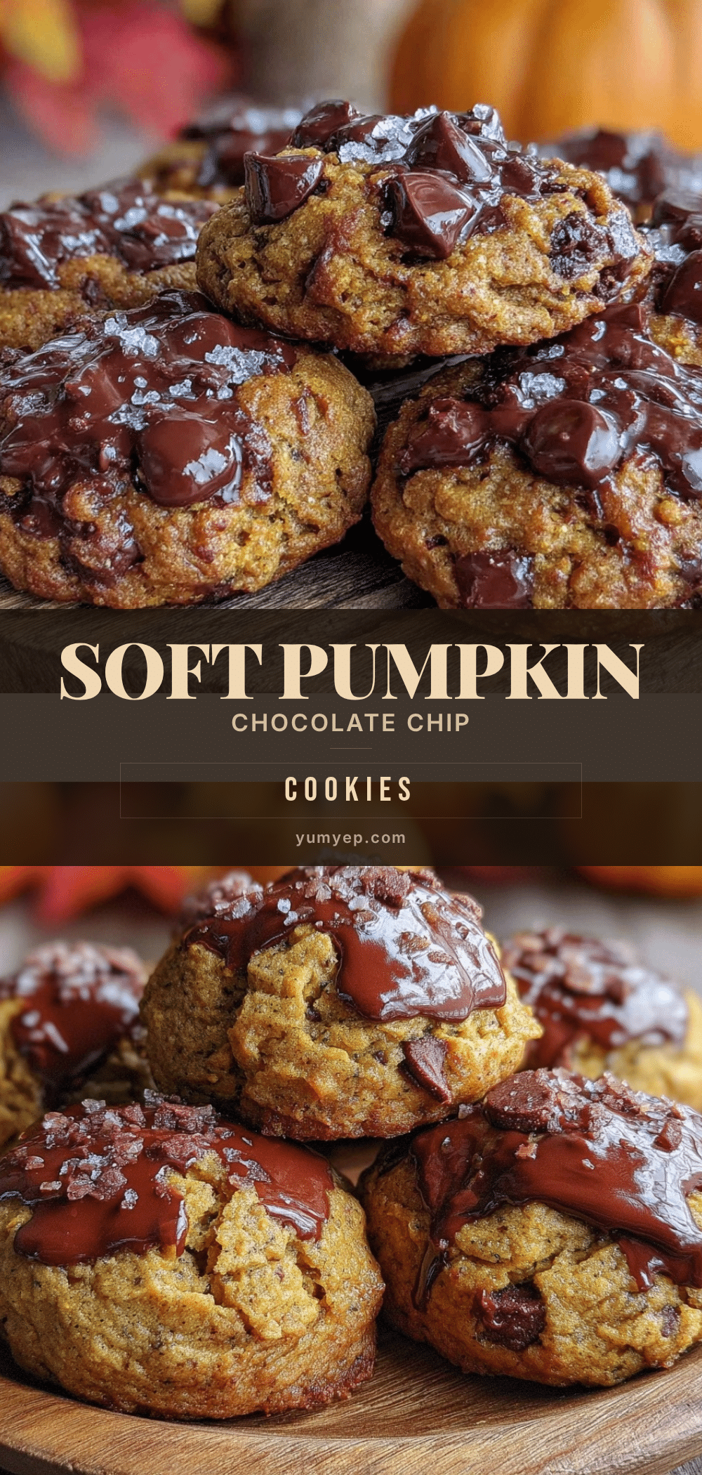 soft pumpkin chocolate chip cookies recipe