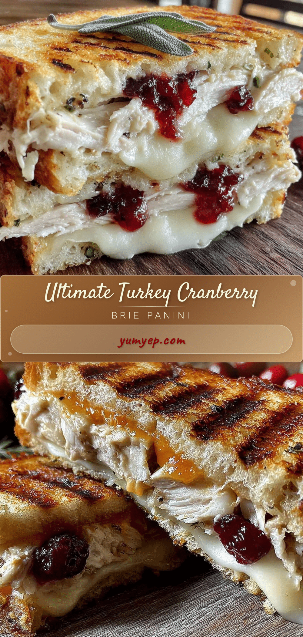 turkey cranberry brie panini recipe