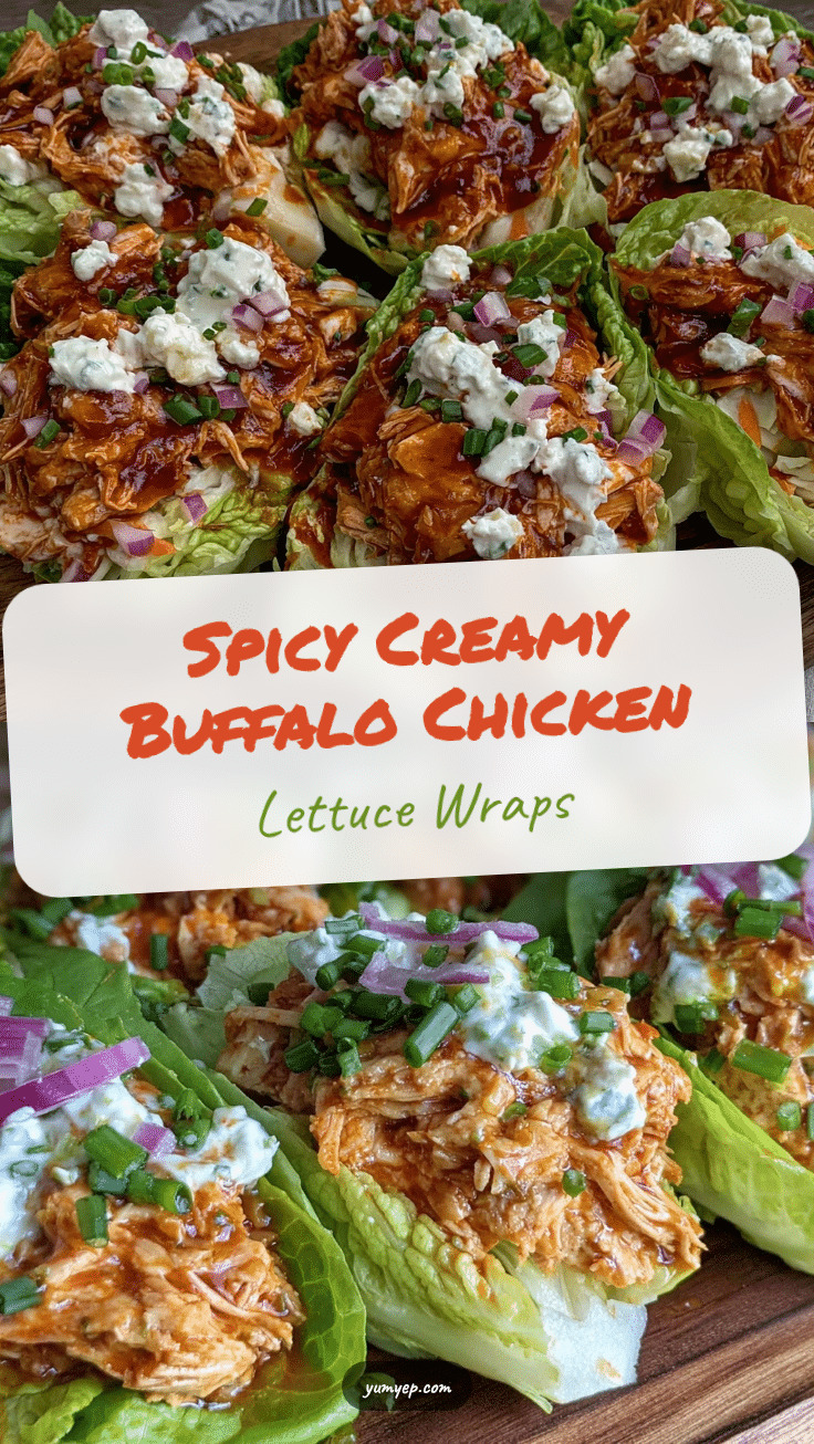 buffalo chicken salad lettuce wraps recipe