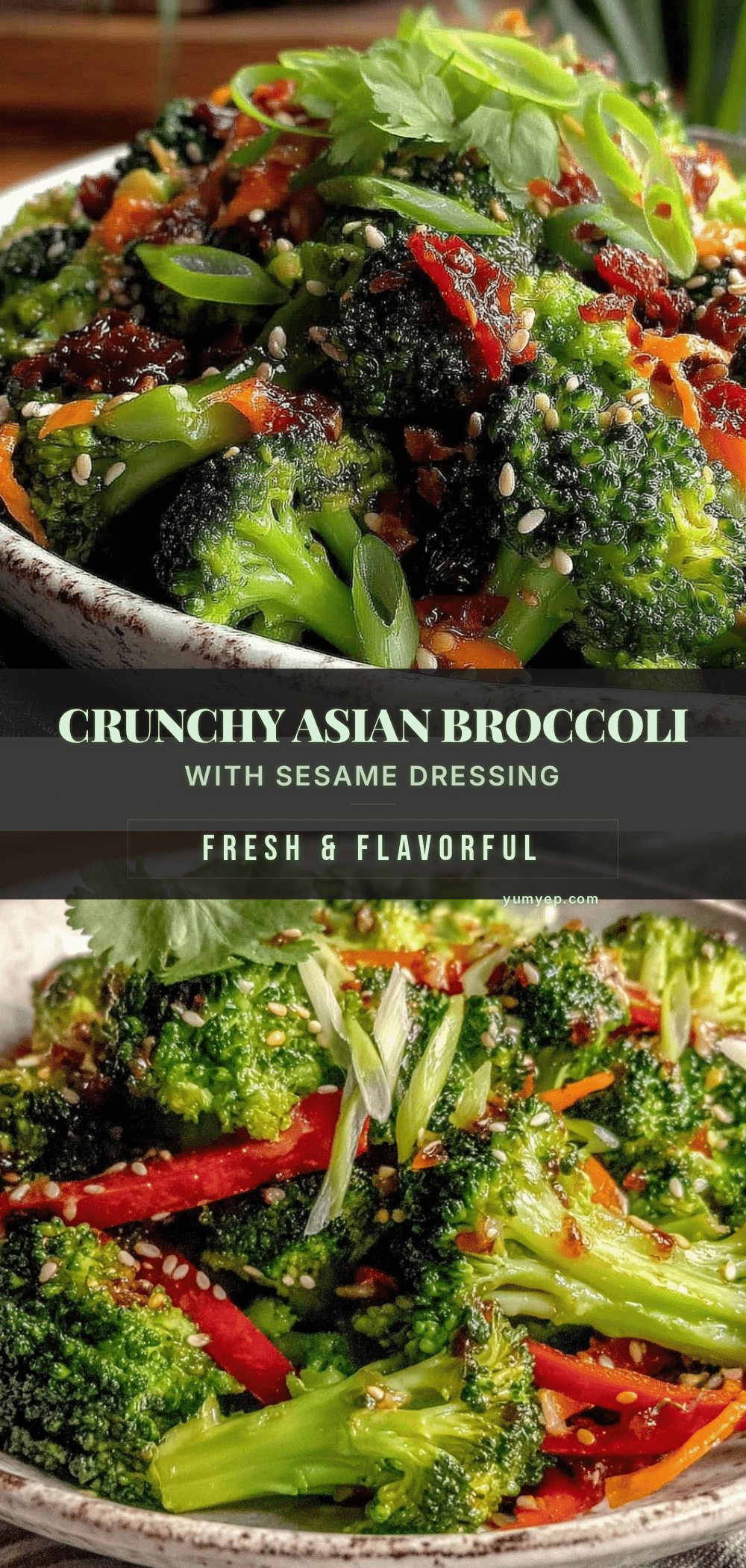 Crunchy Asian Broccoli Salad recipe