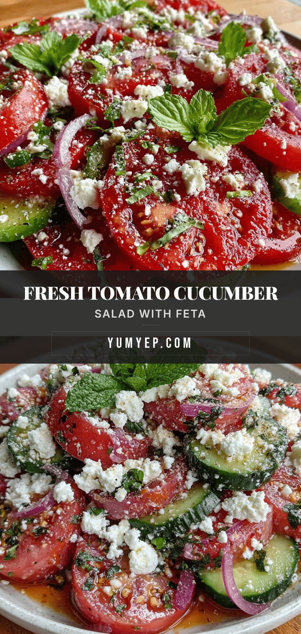 fresh tomato cucumber salad recipe