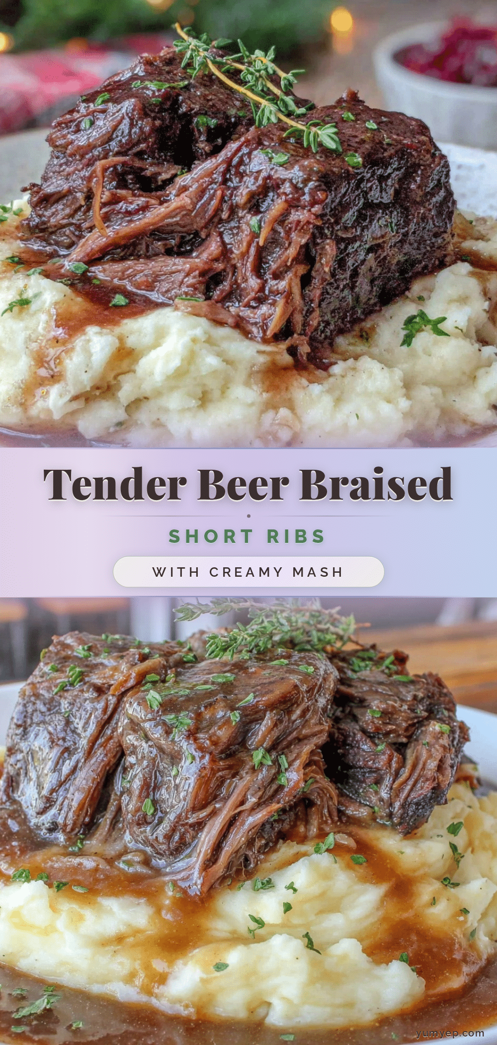 beer braised short ribs recipe