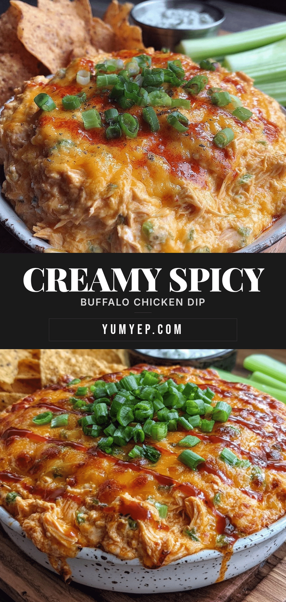 creamy buffalo chicken dip recipe
