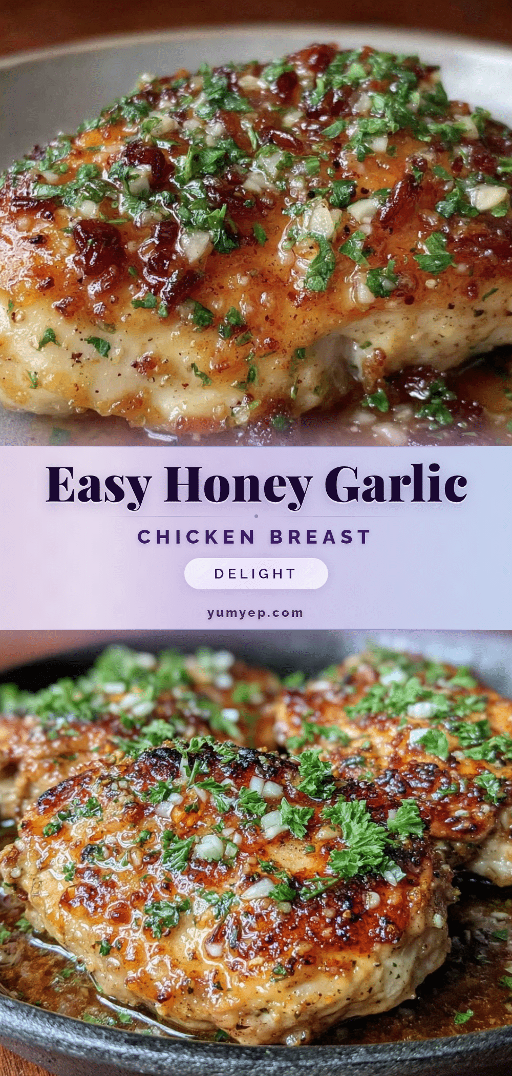 easy honey garlic chicken breast recipe