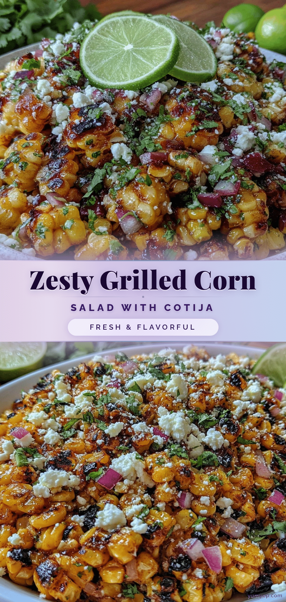 fresh grilled corn salad recipe