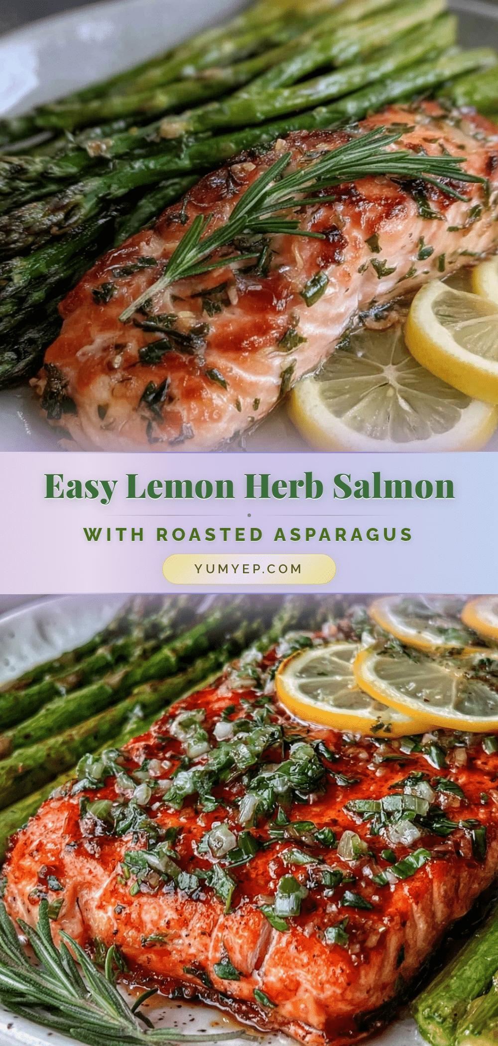 lemon herb salmon recipe