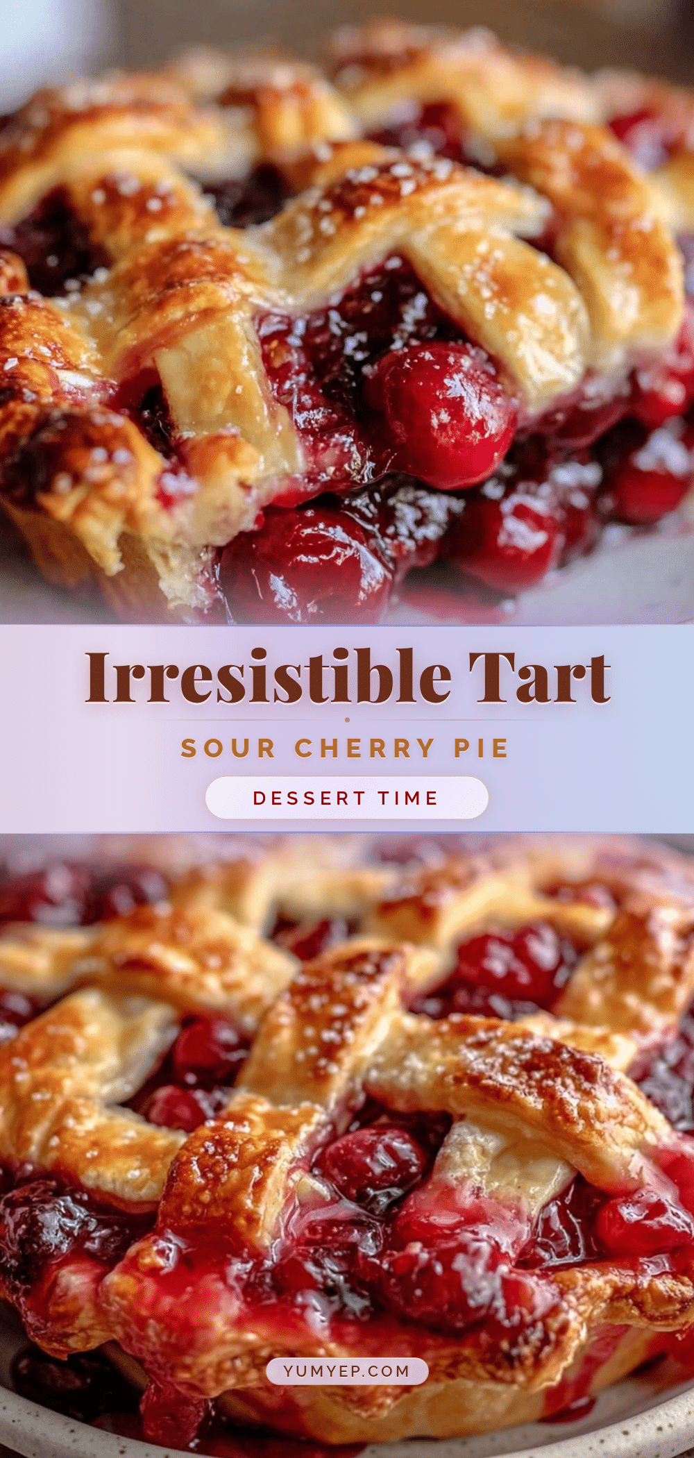 perfect sour cherry pie recipe recipe