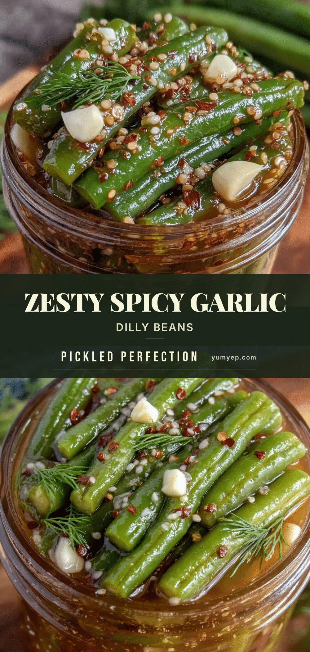 spicy garlic dilly beans recipe