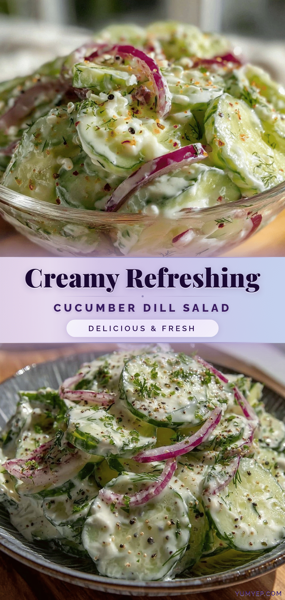 creamy cucumber dill salad recipe