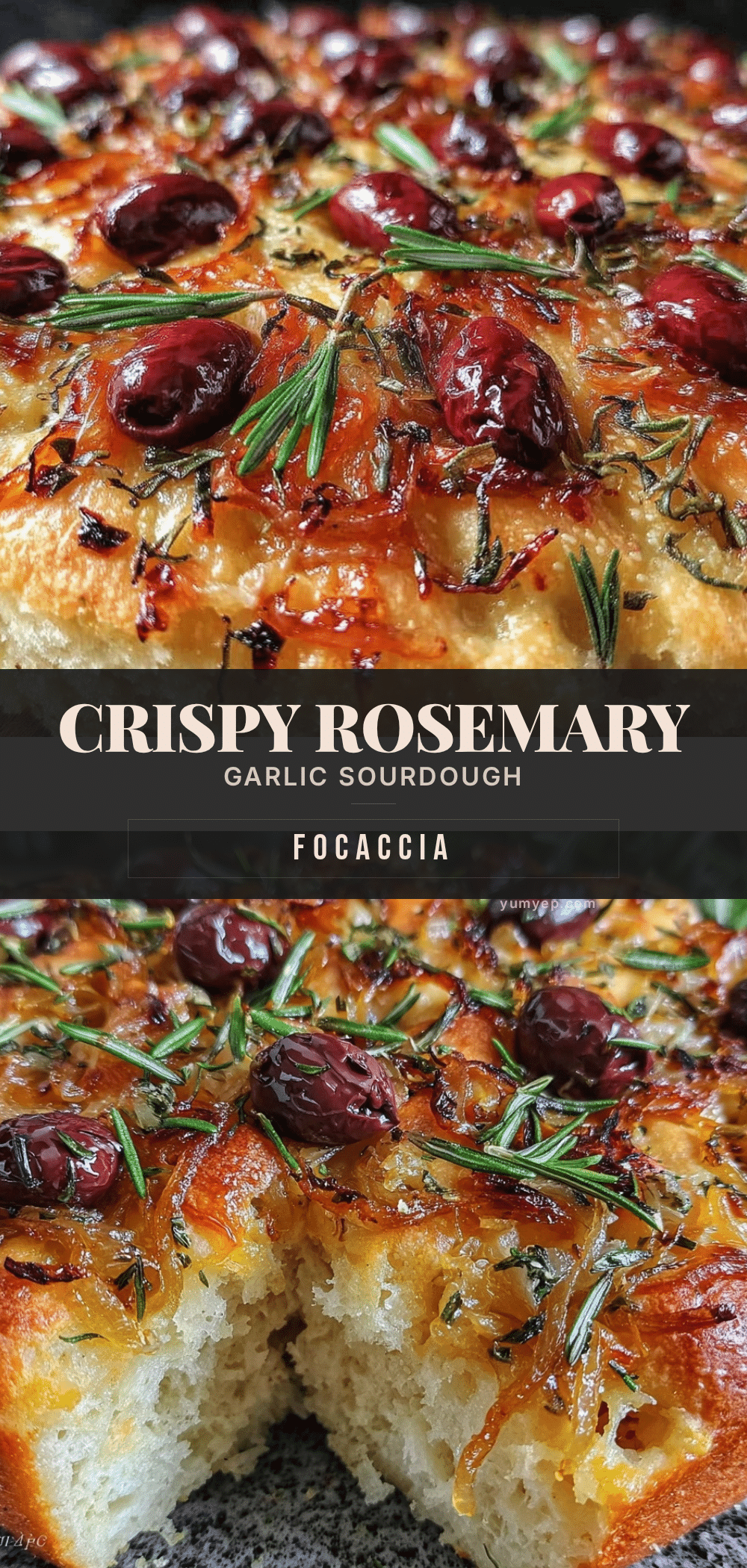 crispy rosemary garlic sourdough focaccia recipe
