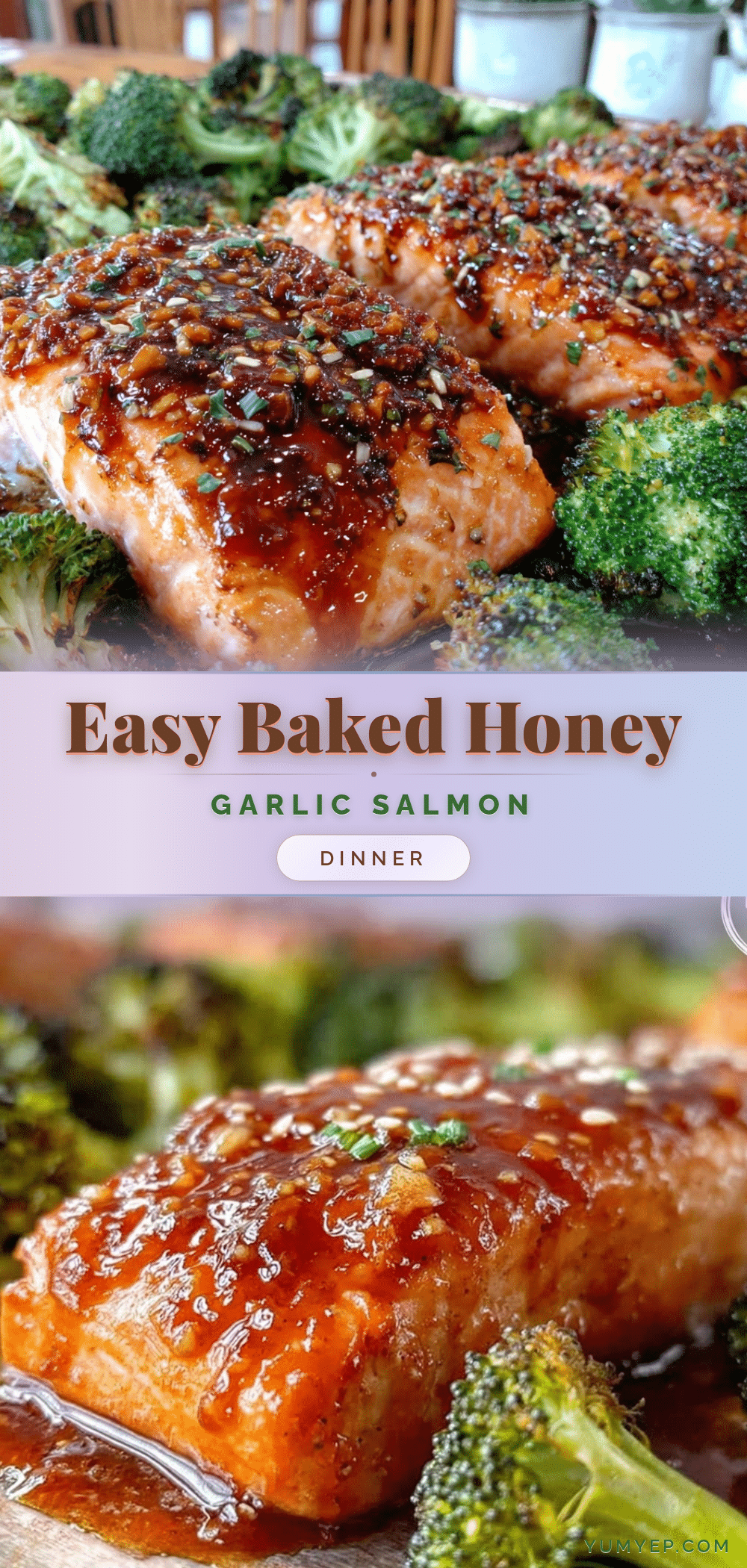 easy baked honey garlic salmon recipe