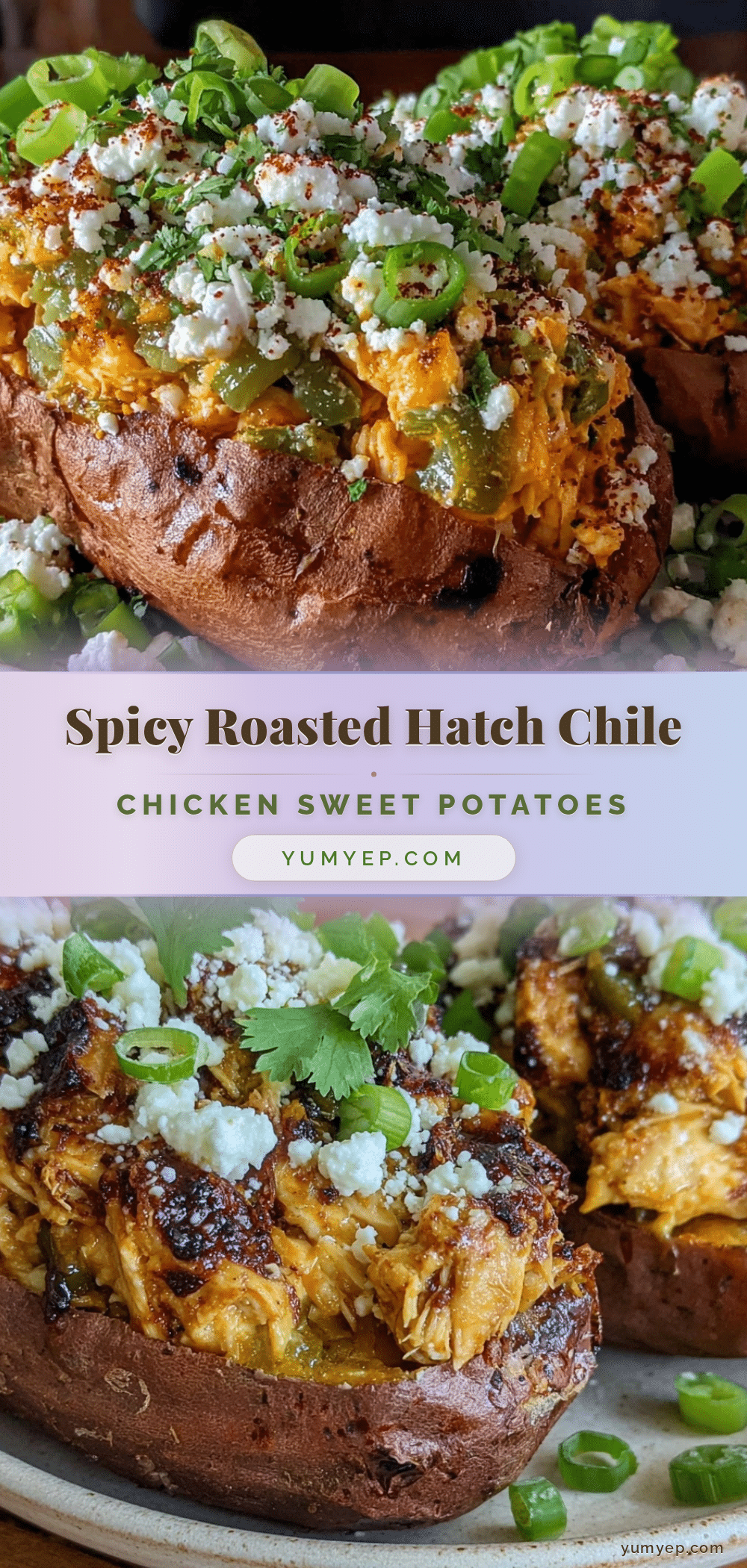hatch green chile chicken stuffed sweet potatoes recipe
