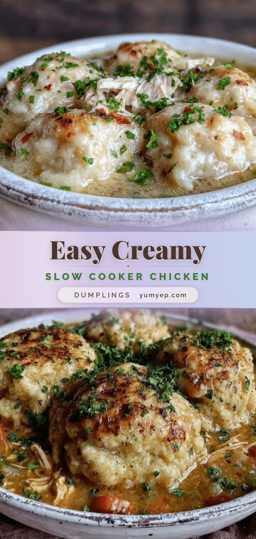 slow cooker chicken and dumpling soup recipe