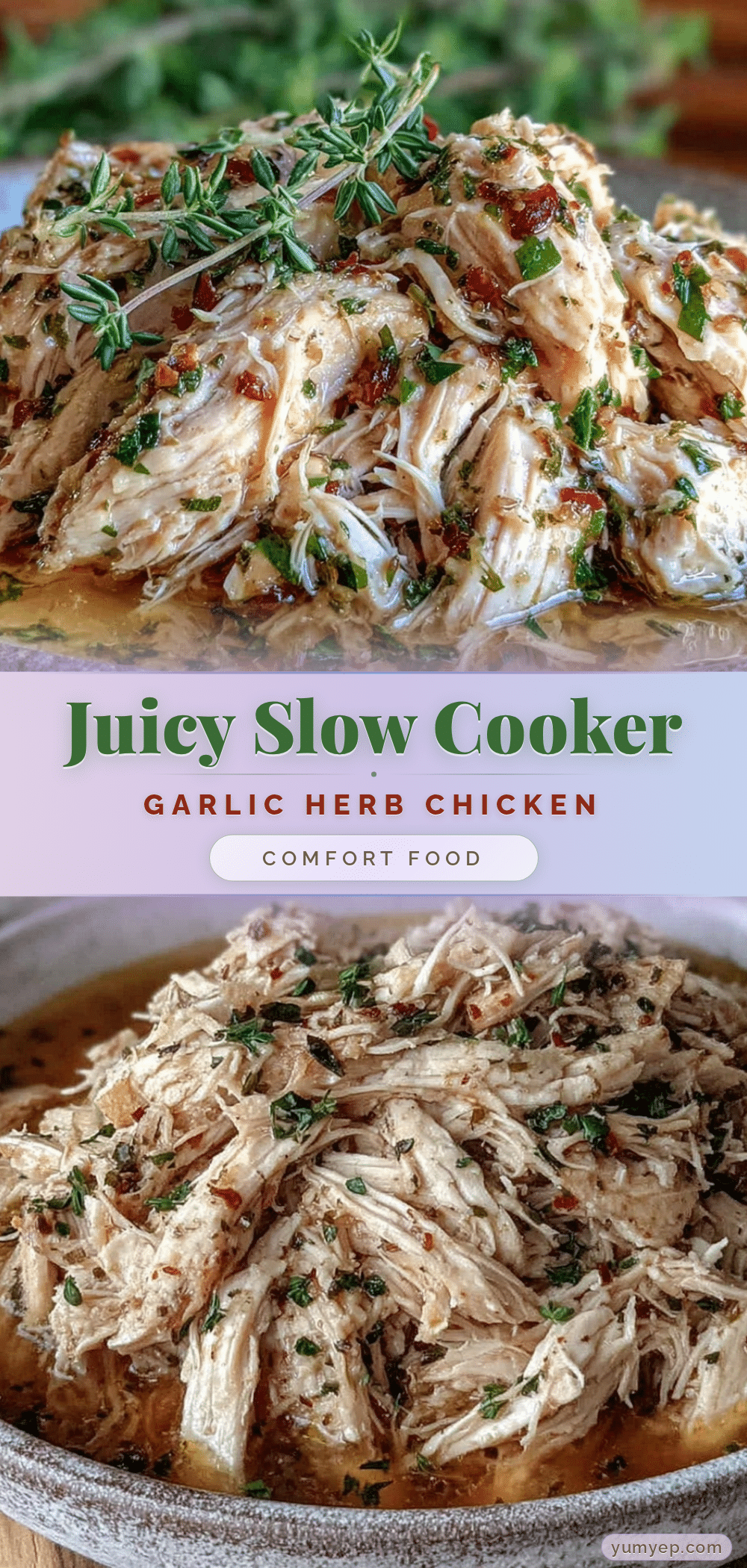slow cooker shredded chicken breast recipe