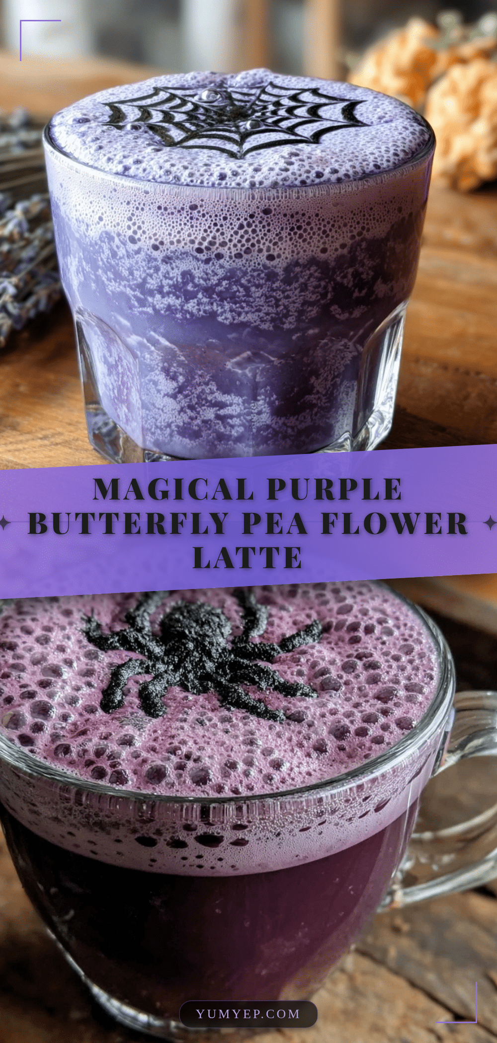 witchs brew butterfly pea flower latte recipe